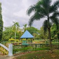 Kota Kinabalu – příjemná zahrada u Perdana Park