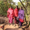 Masajové