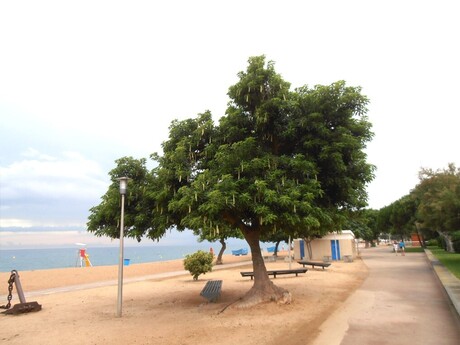 Pineda de Mar - pláž