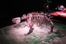 výstava Dinosaurium   