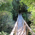 národní park Pumalín 